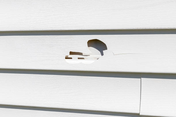 How To Choose The Right Materials for Your Siding Installation in 'Weldon, CA